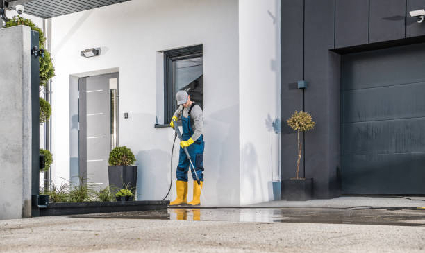 Best Graffiti Removal  in Hollywood, FL